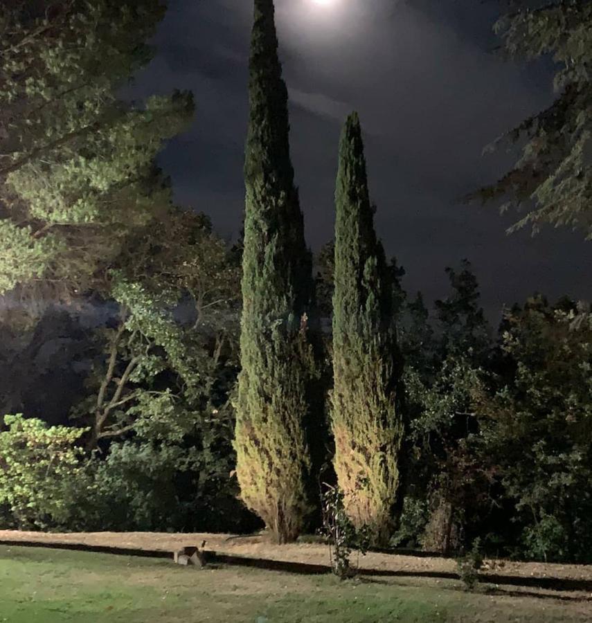 Villa Poggio Fagianino Sant'Albino ภายนอก รูปภาพ
