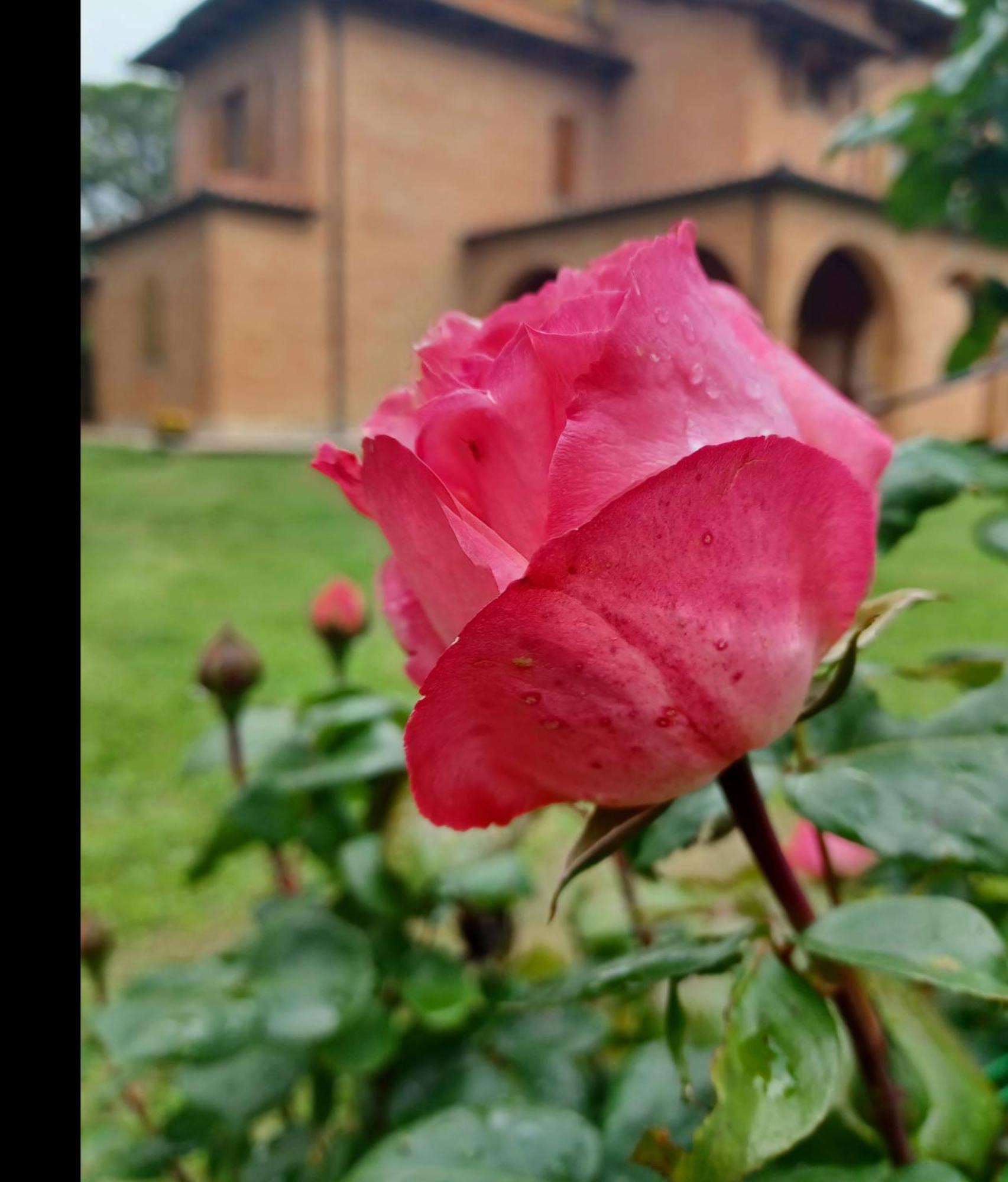 Villa Poggio Fagianino Sant'Albino ห้อง รูปภาพ